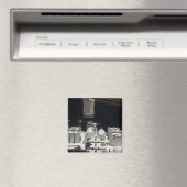 Das japanische Versuchsmodul, das verfügbar ist Magnet (In Situ (Geschirrspüler))