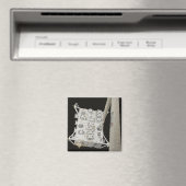 Das japanische Versuchsmodul exponierte Anlage 2 Magnet (In Situ (Geschirrspüler))