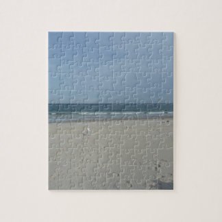 Das Jersey-Ufer Puzzle