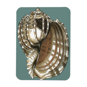 Das Juwel des Ozeans Magnet