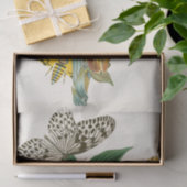 Das Kabinett der orientalischen Entomologie Pl XLI Seidenpapier (Geschenk)