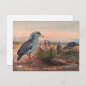 Das Kagu von Joseph Wolf Postkarte (Vorne/Hinten)