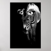 Das Kaiserliche druckt Poster (Vorne)