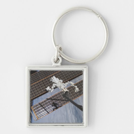 Das kanadische Dextre-Robotersystem 3 Schlüsselanhänger (Vorne)