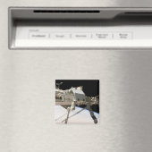 Das kanadische Dextre-Robotersystem Magnet (In Situ (Geschirrspüler))