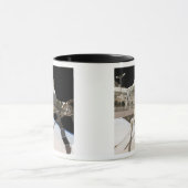 Das kanadische Dextre-Robotersystem Tasse (Zentrum)