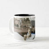 Das kanadische Dextre-Robotersystem Zweifarbige Tasse (Vorderseite Links)