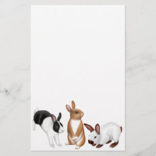 Das Kaninchen-Briefpapier Briefpapier