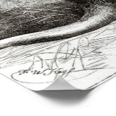 Das Kap Ant-Eater Poster (Ecke)