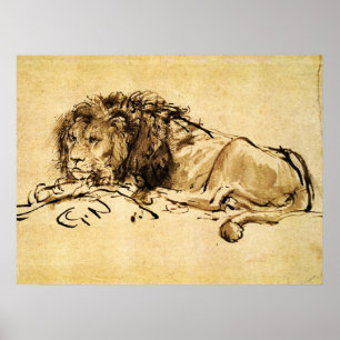 DAS KAP LION LYING DOWN, von Rembrandt Sepia, Blac Poster