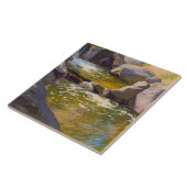 Das Kaskadengewässer Fliese (Seite)