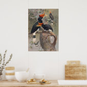 Das kaskadierte Hornbill durch Joseph Wolf Poster (Küche)
