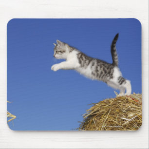Das Kätzchen 2 springend Mousepad