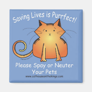 Das Katzen-Haus auf den Königen Spay und Neutrum Magnet