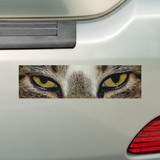 Das Katzenauge Autoaufkleber (Auf Auto)