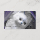 Das Katzenaugen-Ansicht Visitenkarte (Rückseite)