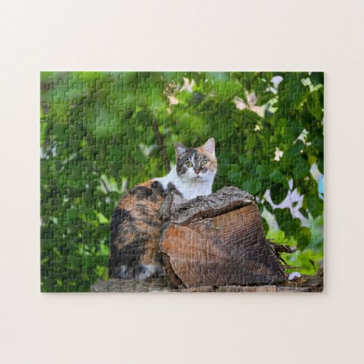 Das Katzenpuzzle Puzzle (Horizontal)