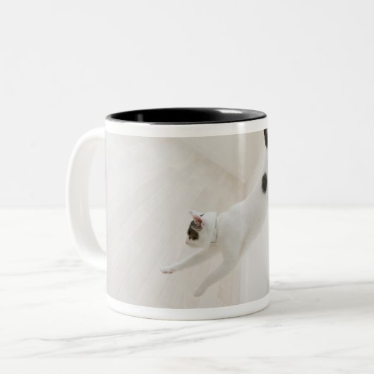 Das Katzenspringen Zweifarbige Tasse (Vorderseite Links)