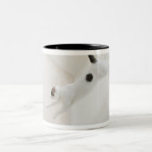 Das Katzenspringen Zweifarbige Tasse (Mittel)