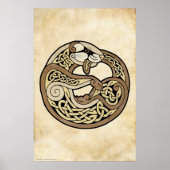 Das keltische Frettchen Poster (Vorne)