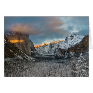 Das Kennzeichen des Winters