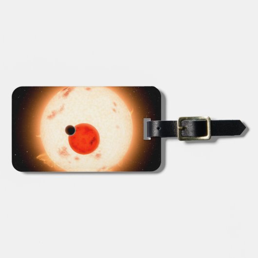 Das Kepler-16 System. Gepäckanhänger (Vorderseite horizontal)