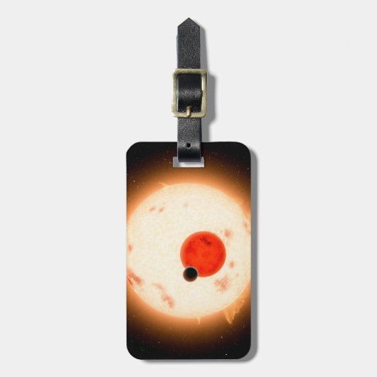 Das Kepler-16 System. Gepäckanhänger (Vorderseite vertikal)