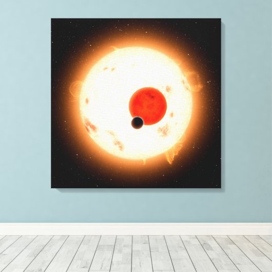Das Kepler-16 System. Leinwanddruck (Insitu (Holzboden))