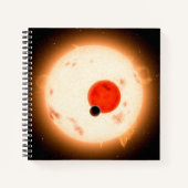 Das Kepler-16 System. Notizblock (Vorderseite)