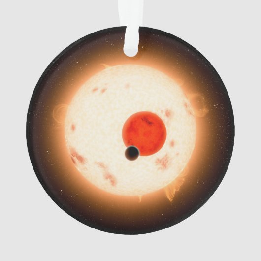 Das Kepler-16 System. Ornament (Rückseite)