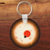 Das Kepler-16 System. Schlüsselanhänger (Rückseite)