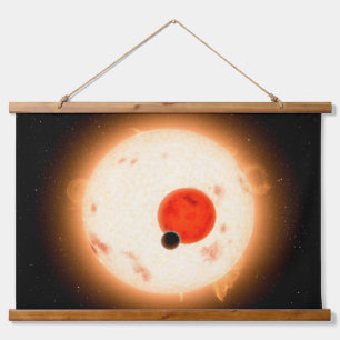 Das Kepler-16 System. Wandteppich Mit Holzrahmen