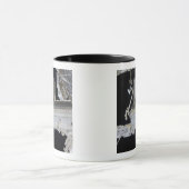 Das Kibo-Labor für das japanische Experimentiermod Tasse (Zentrum)