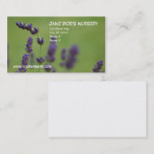 Das Kinderzimmer Jane-Damhirschkuh Visitenkarte (Vorne/Hinten)