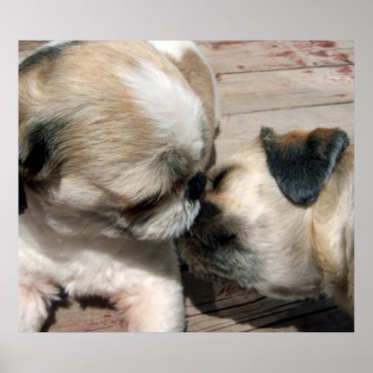 Das Kiss-Poster Poster (Vorne)