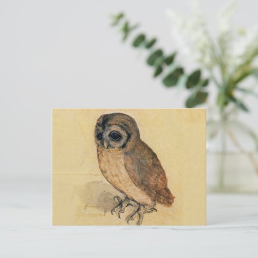 Das kleine Owl Albrecht Dürer Postkarte (Stehend Vorderseite)