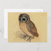 Das kleine Owl Albrecht Dürer Postkarte (Vorne/Hinten)