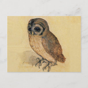 Das kleine Owl Albrecht Dürer Postkarte
