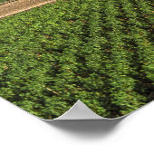 Das Kloster Clos de Vougeot aus dem 16. Jahrhunder Poster (Ecke)