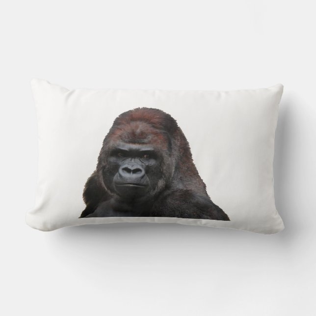 DAS KLUGE LENDENKISSEN (Vorderseite)