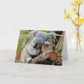 Das Koala-Bärn-Schlafen erhalten gut Karte (Gelbe Blume)