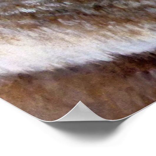 Das Koala-Kuddle-Portrait mit einem schönen Kunstd Poster (Ecke)