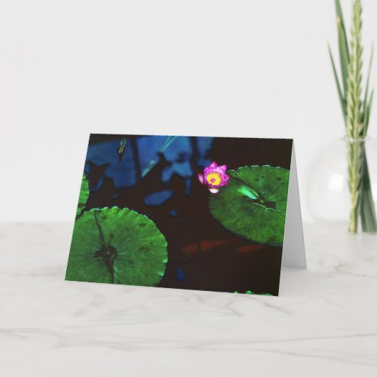 Das Koi Karte (Vorderseite)