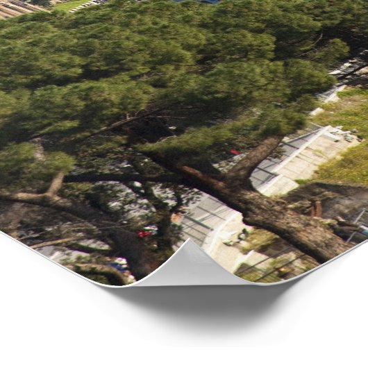 Das Kolosseum oder das römische Kolosseum Poster (Ecke)