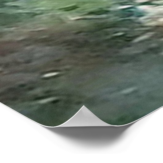 Das Korallenriff mit tropischen Fischen Poster (Ecke)