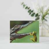 Das Krokodil und der Frosch Postkarte (Stehend Vorderseite)