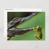 Das Krokodil und der Frosch Postkarte (Vorne/Hinten)