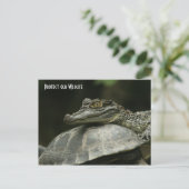 Das Krokodil und die Schildkrötenkarte Postkarte (Stehend Vorderseite)