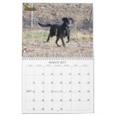 Das Labradors der vier Tatzen-Hundehütte Kalender (Mär 2027)