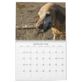 Das Labradors der vier Tatzen-Hundehütte Kalender (Feb 2026)